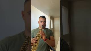 Cordeiro de Deus ICM saxcover icm musica sopranosax praise worship instrumental saxophone [upl. by Aroled47]