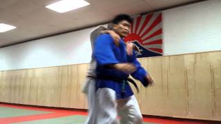 Shintaro Higashi doing Aikido [upl. by Jit]