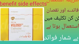 velosef capsules benefits in urdu  velosef capsules 500mg dosage velosef capsule 500mg uses [upl. by Fishback]