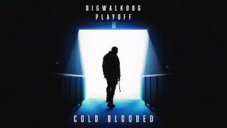 BigWalkDog  Cold Blooded Official Audio [upl. by Barra]