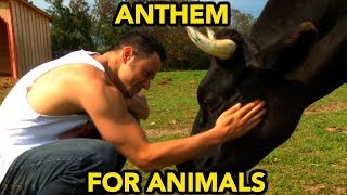 ANTHEM FOR ANIMALS  Gaias Eye  Gaia • is • I  OFFICIAL VIDEO [upl. by Lexis]