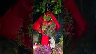 Tulasi vivah utsav shortvideo [upl. by Dikmen212]