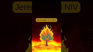 Jeremiah chapter 5 verse 3 scripture🙏🏽💚 [upl. by Russi]