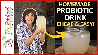 2Ingredient Probiotic Drink Recipe  How To Make Probiotic At Home [upl. by Tallu438]