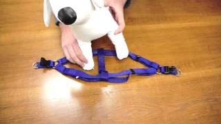 PetChampion  Step in Harness How To [upl. by Ardnaet874]