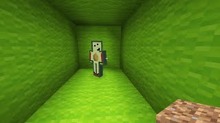 Minecraft Im Searching for Avocados from Mexico Shorts [upl. by Netloc]