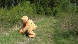 Kleiner süßer Teddy  Bär spielt mit Ball [upl. by Pelaga416]