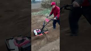 Gasoline weeder Small tiller Ditching and soilraising machine 😱👍 [upl. by Kinata180]