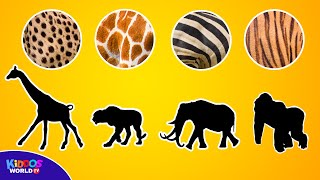 Guess the Animal Game and Learning to Count Animals [upl. by Aihsatan]