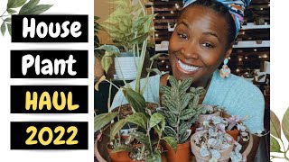 Houseplant Haul 2022 [upl. by Nailil332]