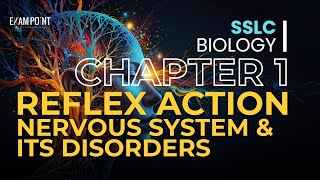 Class 10 Biology Chapter 1  Part 4 Reflex Action Nervous System amp Disorders [upl. by Cissy]