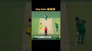 Babar Azam Straight Drive babarazam cricket pakvsaus [upl. by Mezoff]