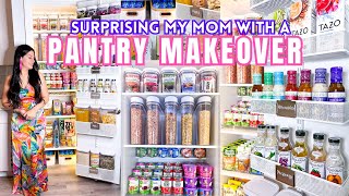 ULTIMATE PANTRY ORGANIZATION  Satisfying Clean and Pantry Restock Organizing on a Budget [upl. by Yekcor]