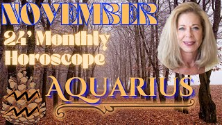 Aquarius November 2024 Monthly Horoscope  Give Me Liberty [upl. by Ecerehs]