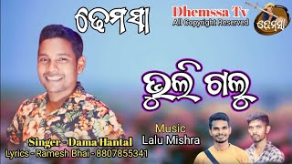 Song BHULI GALU dhemssa tv [upl. by Nnaerb296]