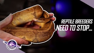 Overcoming WEAKNESS as a Reptile Breeder  ballpython snake reptiles [upl. by Ycinuq]