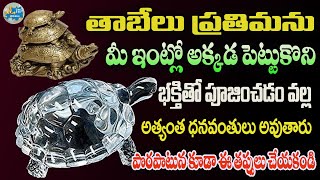 తాబేలు మీ ఇంట్లో అక్కడ పెడితే వద్దన్న డబ్బు వస్తుంది  Tortoise Benefits Telugu  Dharma Sandehalu [upl. by Ernst575]