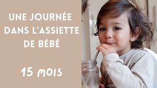 Une journée dans lassiette de bébé repas bébé 15 mois naturopathie alimentation saine DME [upl. by Ileak]