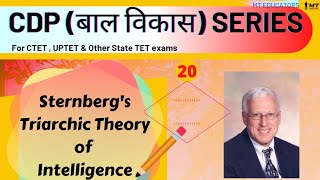 Sternbergs Triarchic Theory of Intelligence  Triarchic Theory by Sternberg ctet cdp mteducators [upl. by Solegnave449]