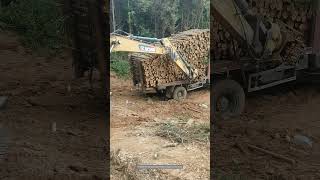 Process Of Transporting Timber In Mountainous Areas [upl. by Meeka25]