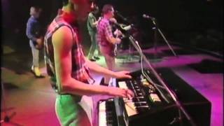 Sugar Ray Five  Battle of the Bands  Grand Final Winners 1984 [upl. by Clemen]