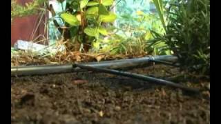 Drip Irrigation Kit  Garden BedsSoaker Dripline [upl. by Ellehcram]