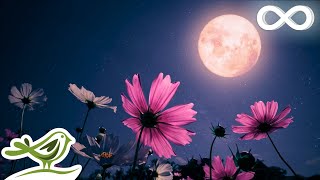 Midnight Calm Deep Sleep Music with Black Screen  Fall Asleep with Ambient Music [upl. by Anaitit624]