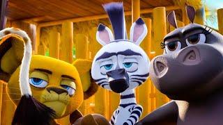 DreamWorks Madagascar  Get The Water Back  Madagascar Escape 2 Africa Movie Clip [upl. by Marmion]