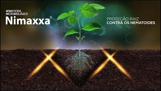 Nimaxxa®  Proteção raiz contra os nematoides [upl. by Hobbs]