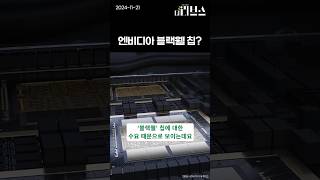 엔비디아 블랙웰 칩 [upl. by Yeslrahc]