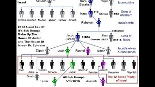 Genetics YDNA Haplotype of E1B1A [upl. by Thirzia331]