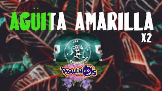 Aguita Amarilla Karaoke Pequeños Musical [upl. by Attenej]