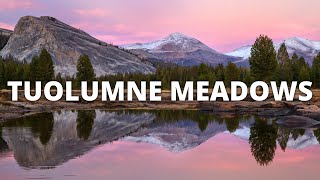 Tuolumne Meadows Hike [upl. by Frere970]