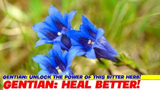 Gentian Unlock the Power of this Bitter Herb [upl. by Aenad]