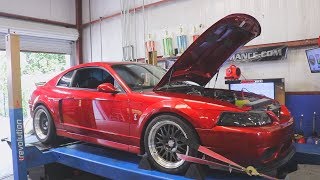 700 RWHP E85 Cobra Terminator Build 93 Octane Dyno Tuning [upl. by Bowra968]