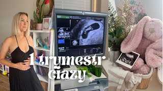 Pierwszy trymestr ciążytydzień po tygodniu 💕 pierwsze objawy ciąży🤕 badania prenatalne test Pappa [upl. by Viridissa]