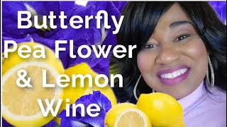 Butterfly Pea Flower amp Lemon Wine  15 [upl. by Bartlet]