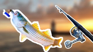 Catching Striped Bass Stripers in 50 feet of water  Fish Everywhere [upl. by Mapes]