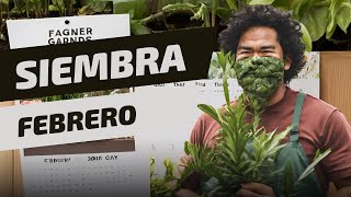 Calendario de siembra 👨🏽‍🌾 del mes de FEBRERO 💚  Qué sembrar en mi huerto urbano FACIL Y RAPIDO 🌱 [upl. by Prober896]