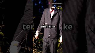 Slender Man Creeps Through the Shadows Horror SlenderMan [upl. by Philis]