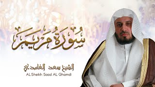 الشيخ سعد الغامدي  سورة مريم  Sheikh Saad Al Ghamdi  Surat Maryam [upl. by Elrae]