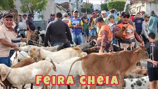 FEIRA DE ANIMAIS DE UMBUZEIRO PARAÍBA 28092024 [upl. by Sherrod]