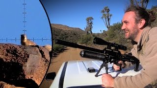 Long Range Dassie Hunting at Witmoskloof Farm [upl. by Abeh]