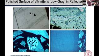 Lecture 2 Vitrinite Reflectance [upl. by Selim186]