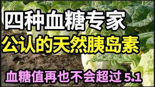 这四种食物，被血糖专家称为“天然胰岛素”、糖尿病的克星，每天换着吃，血糖值再也不会超过51！【本草养生大智慧】 [upl. by Annairoc]