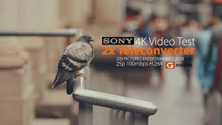 Sony FE 2x Teleconverter 4K Video Test Up to 600mm Shot it on A7RIII M3 [upl. by Rawley]