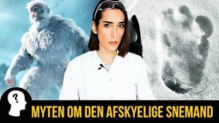 MYTEN OM DEN AFSKYELIGE SNEMAND [upl. by Atiuqahc]