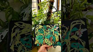 Painting Monstera livepaint illustration monsteraplant sketchbook paintwithme [upl. by Hsemar]