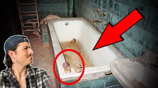 Top 3 photos with DISTURBING backstories  Part 10 [upl. by Warrick218]