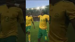 South Africas Opening Goal  World Cup 2010  Tshabalala🤩 bafanabafana peterdrury worldcup2010 [upl. by Ebag473]